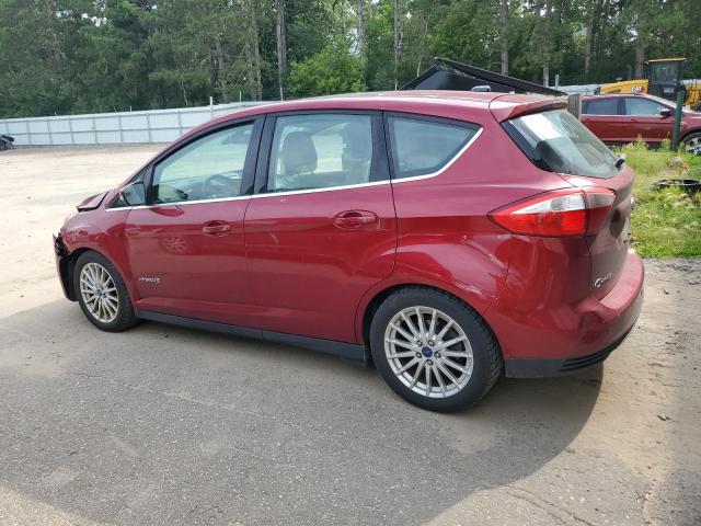 2016 FORD C-MAX SEL 1FADP5BU3GL100425