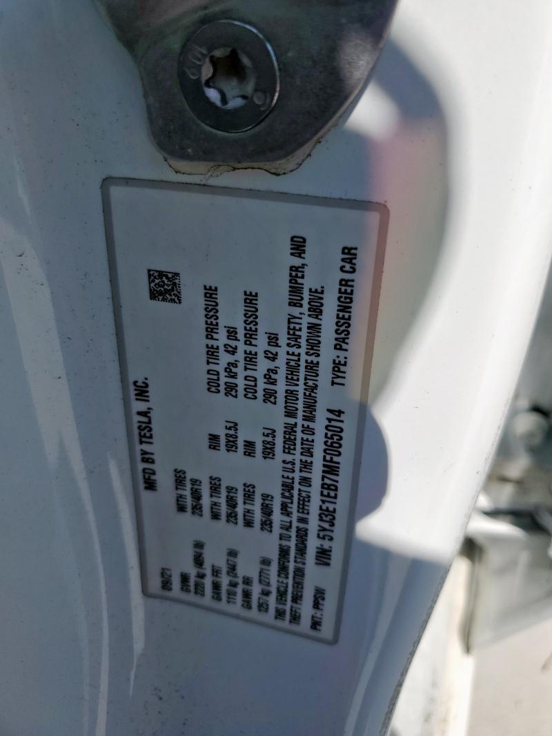 2021 TESLA MODEL 3 5YJ3E1EB7MF065014