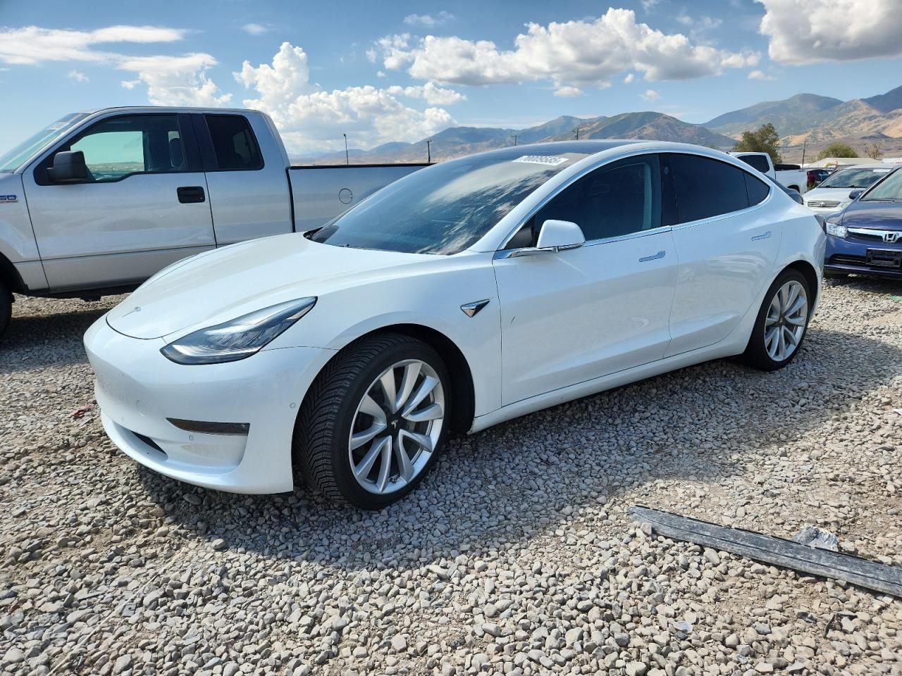 Lot #3261595068 2019 TESLA MODEL 3