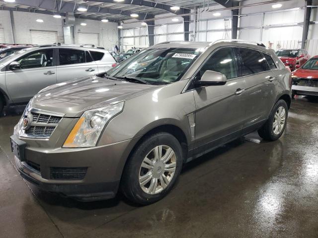 CADILLAC SRX LUXURY 2011 tan  gas 3GYFNDEY1BS674990 photo #1