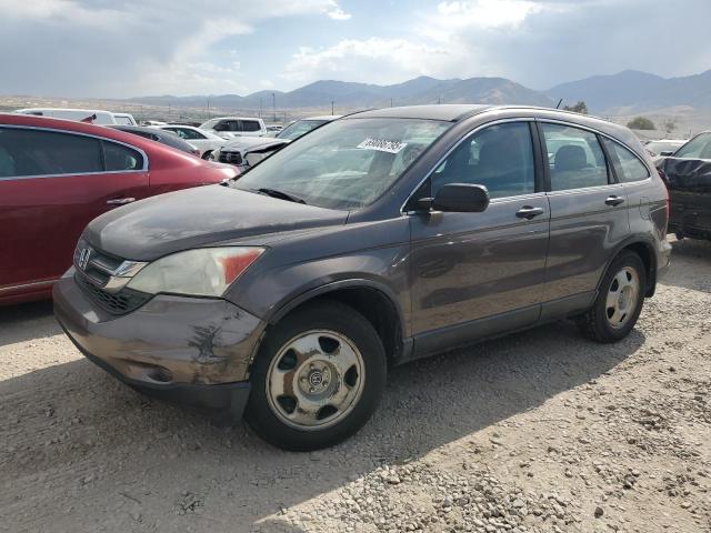 2010 HONDA CR-V LX - 5J6RE3H30AL034104