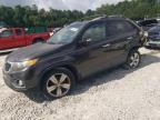 Lot #3310570088 2013 KIA SORENTO