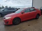 Top Destinations for Shipping Cars from the USA