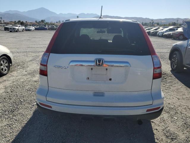 2010 HONDA CR-V EXL - 5J6RE3H76AL005161