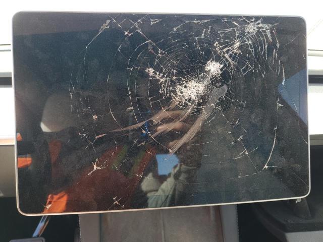 2024 TESLA MODEL Y 7SAYGDEE3RF082981