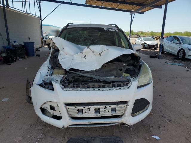 2014 FORD ESCAPE SE - 1FMCU0G98EUE41036