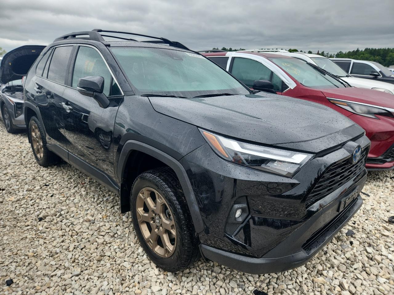 TOYOTA RAV4 WOODLAND EDITION
