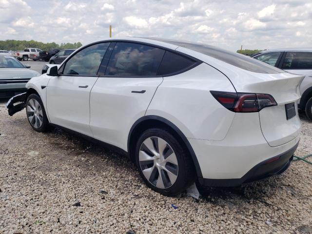 2021 TESLA MODEL Y - 5YJYGDEE1MF146506