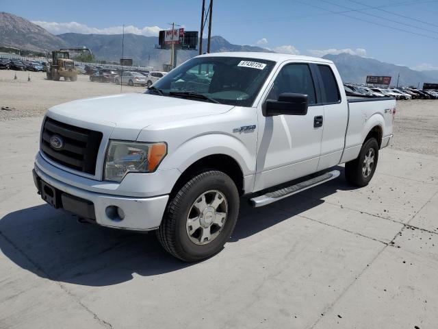 2010 FORD F150 SUPER - 1FTEX1E85AFA83901