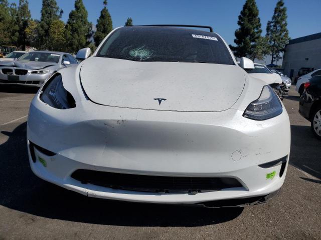 2023 TESLA MODEL Y 7SAYGDEE6PA102361
