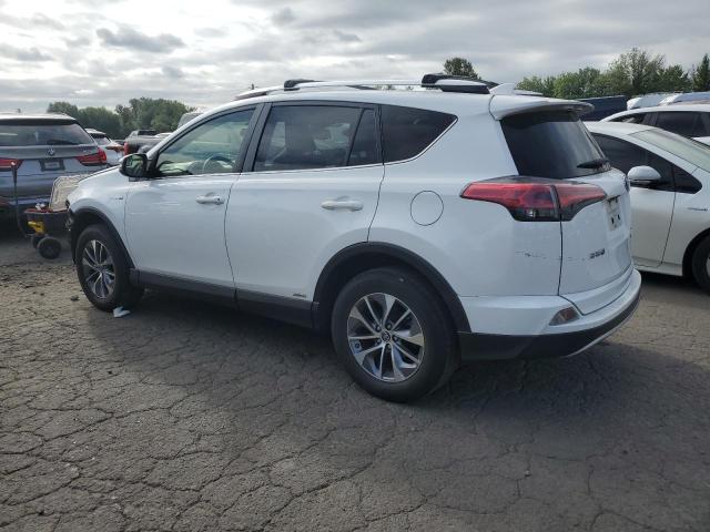 2016 TOYOTA RAV4 HV XLE JTMRJREV4GD011437