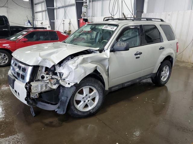 Global Auto Auctions: 2009 FORD ESCAPE XLT