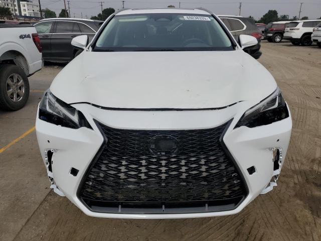 2024 LEXUS NX 250 PRE JTJGDCAZ1R5017114