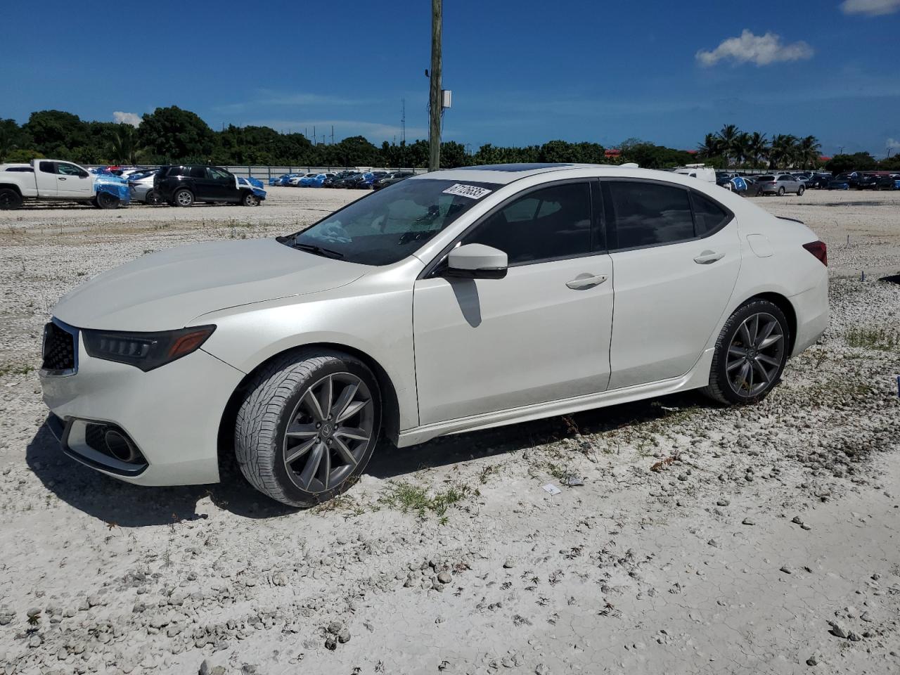 ACURA TLX TECH+A