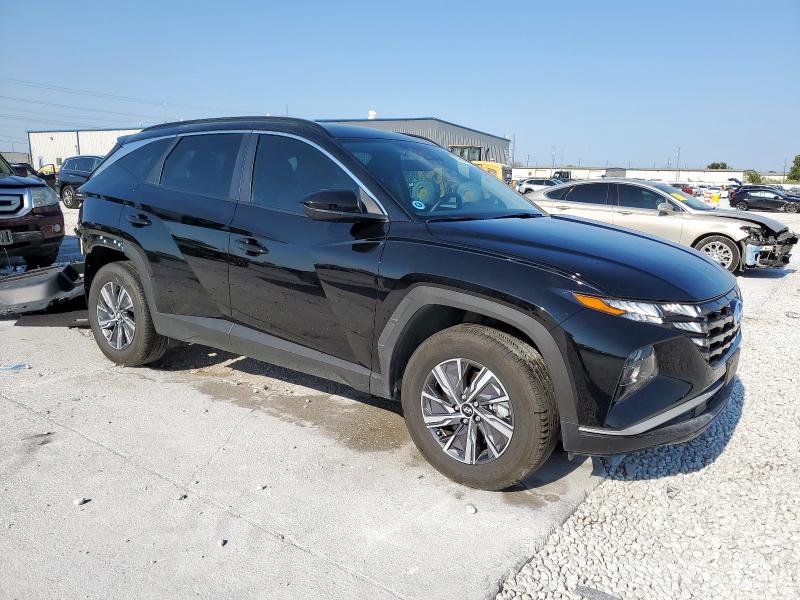 2024 HYUNDAI TUCSON BLU KM8JBCD12RU211981