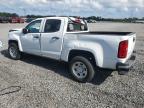 Lot #3303884739 2022 CHEVROLET COLORADO