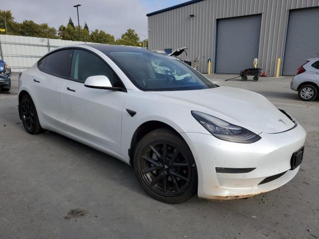 2019 TESLA MODEL 3 5YJ3E1EA3KF401553