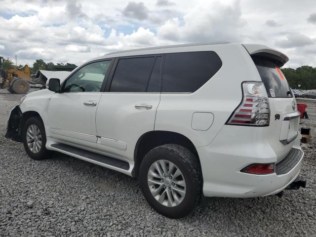 2019 LEXUS GX 460 JTJBM7FX5K5232431