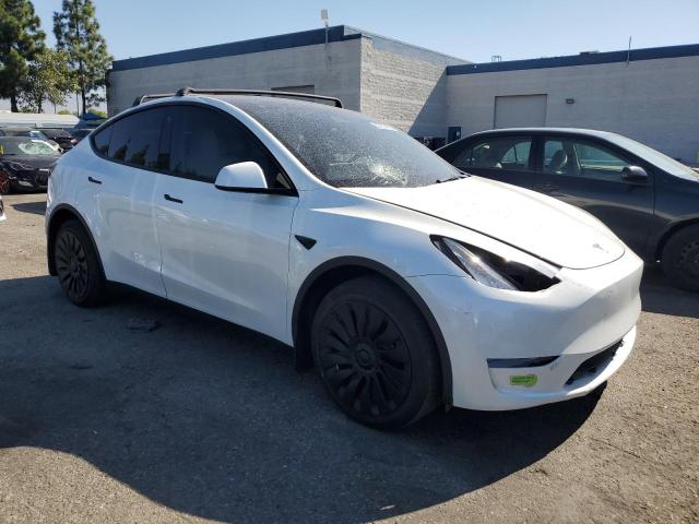 2023 TESLA MODEL Y 7SAYGDEE6PA102361