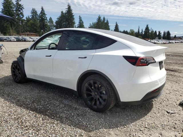 2022 TESLA MODEL Y 7SAYGAEE4NF518942