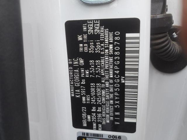 2023 KIA TELLURIDE - 5XYP5DGC4PG380780