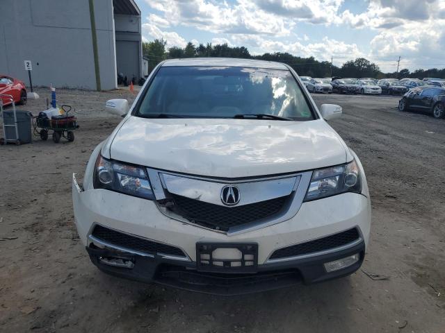 2010 ACURA MDX TECHNO - 2HNYD2H4XAH515752