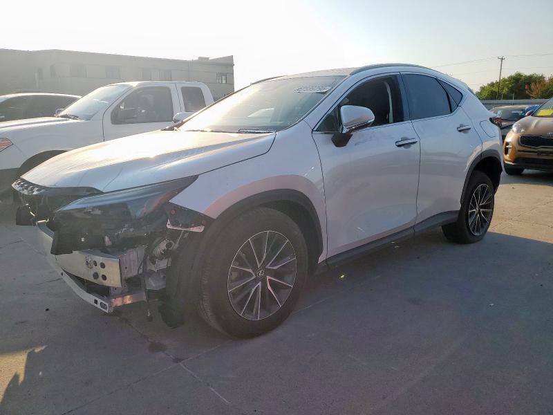 2024 LEXUS NX 350 PRE 2T2GGCEZ7RC052453