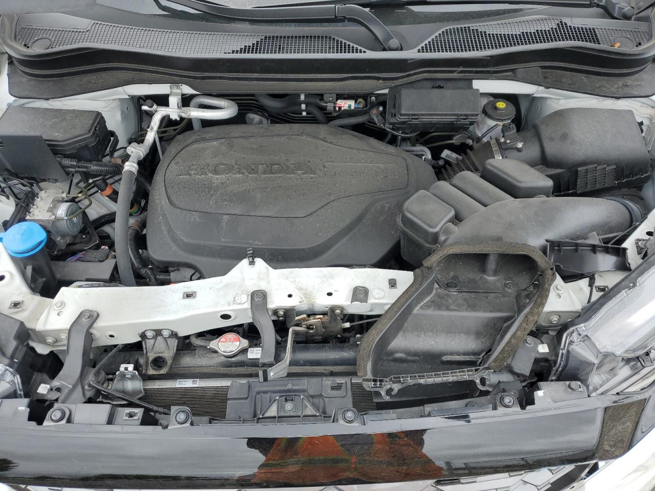 HONDA PASSPORT TRAIL SPORT