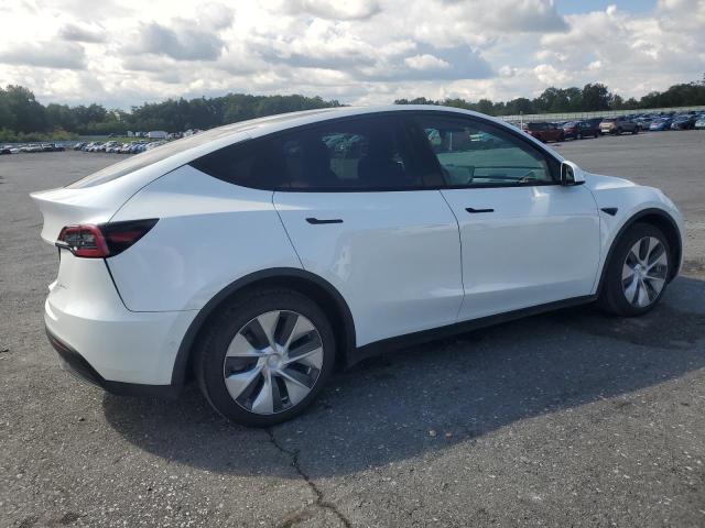 2021 TESLA MODEL Y 5YJYGDEE2MF142609