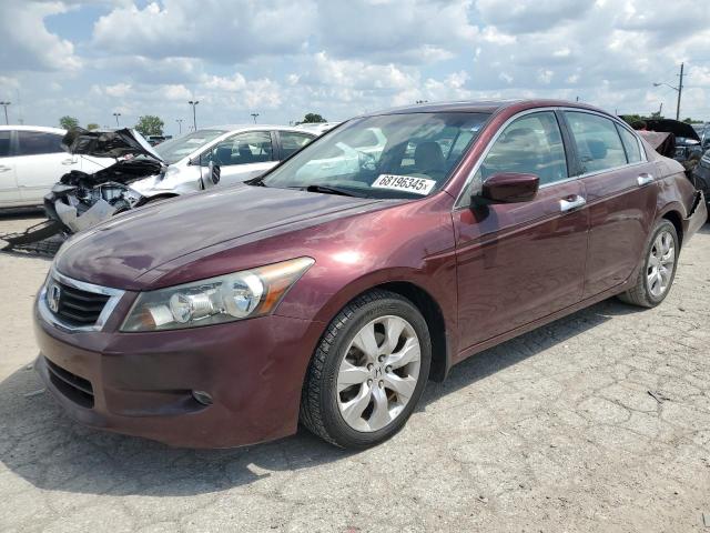 Global Auto Auctions: 2009 HONDA ACCORD EXL