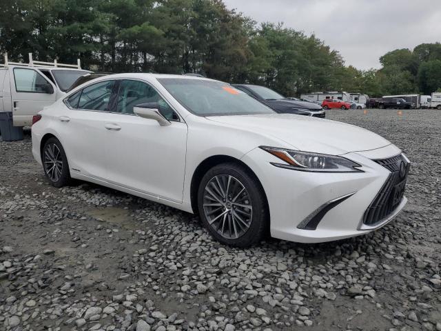 2022 LEXUS ES 300H BA 58ADA1C16NU018452