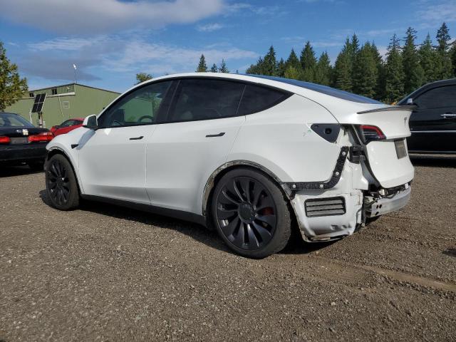 2022 TESLA MODEL Y 7SAYGDEF4NF460311