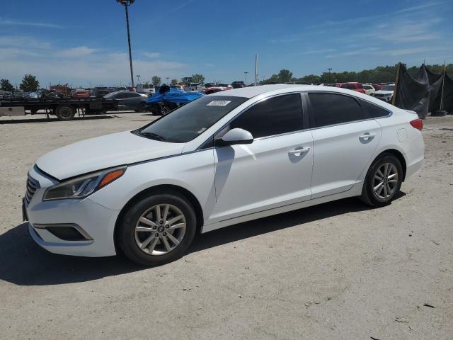 Global Auto Auctions: 2016 HYUNDAI SONATA SE