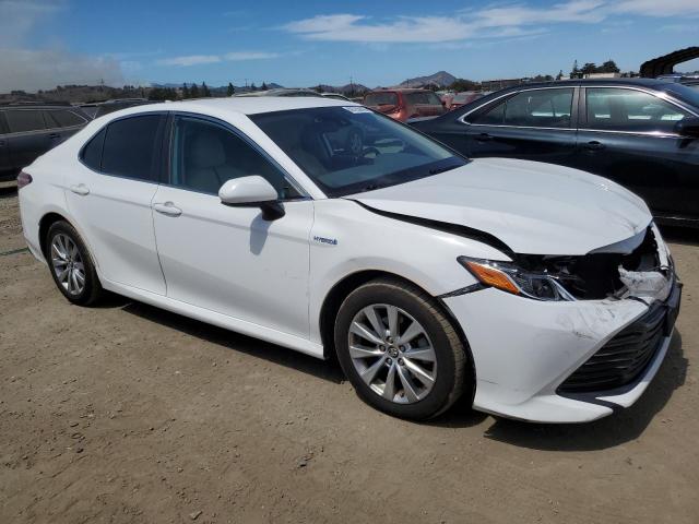 2019 TOYOTA CAMRY LE 4T1B31HK9KU006785