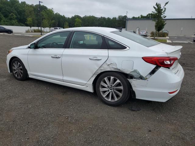 2015 HYUNDAI SONATA SPO 5NPE34AF4FH175287