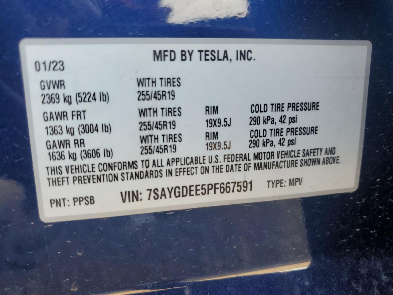 TESLA MODEL Y