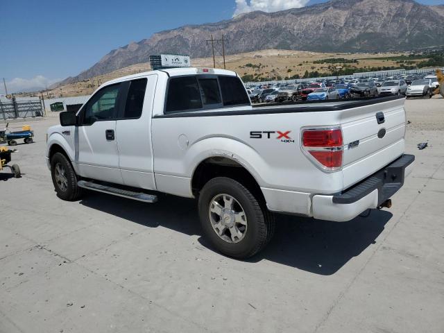 2010 FORD F150 SUPER - 1FTEX1E85AFA83901
