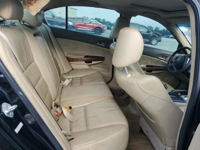 2010 HONDA ACCORD EXL - 1HGCP3F81AA018320