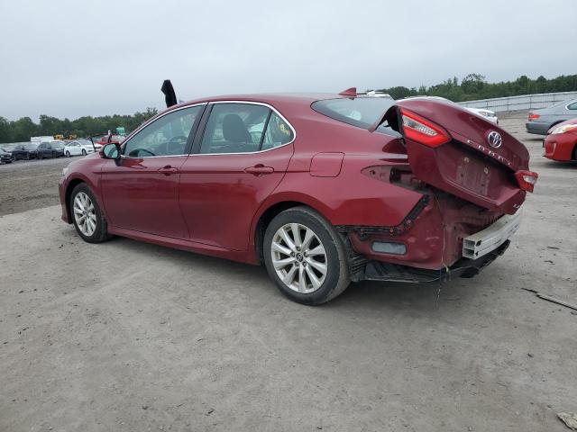 2019 TOYOTA CAMRY L 4T1B11HK7KU744462