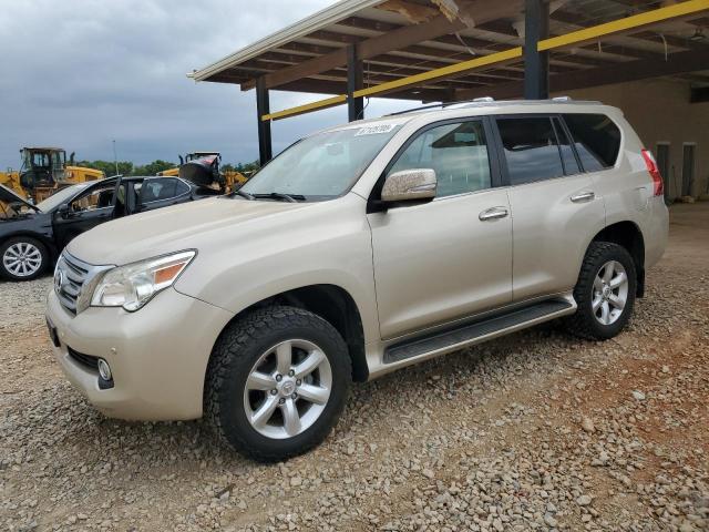 LEXUS GX 460
