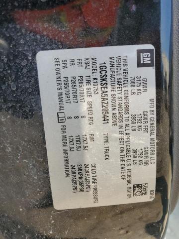 2010 CHEVROLET SILVERADO - 1GCSKSEA5AZ205441