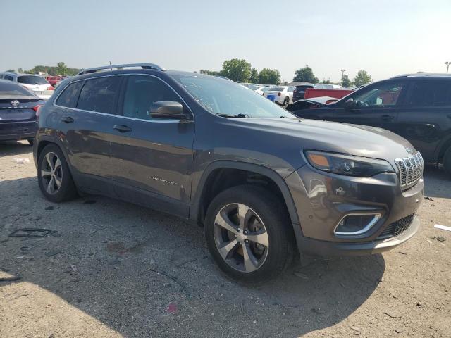 2019 JEEP CHEROKEE L - 1C4PJMDN0KD165325
