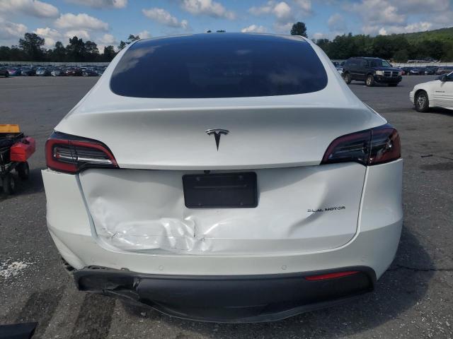 2021 TESLA MODEL Y 5YJYGDEE2MF142609