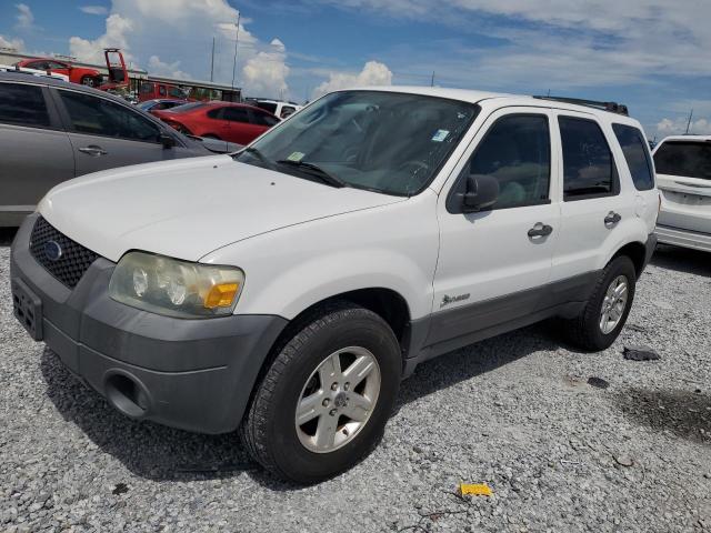 FORD ESCAPE HEV
