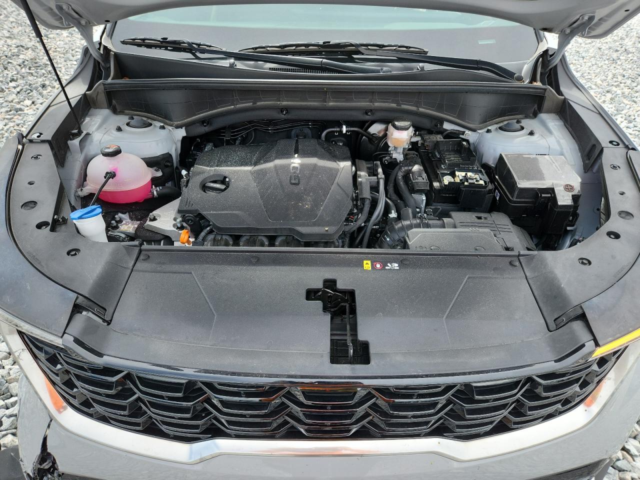 Lot #3309629051 2024 KIA SORENTO S