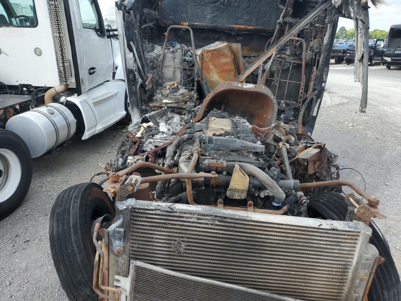 Lot #3304704914 2016 FREIGHTLINER CASCADIA 1