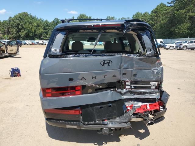 2025 HYUNDAI SANTA FE CALLIGRAPHY 5NMP5DGL3SH127190