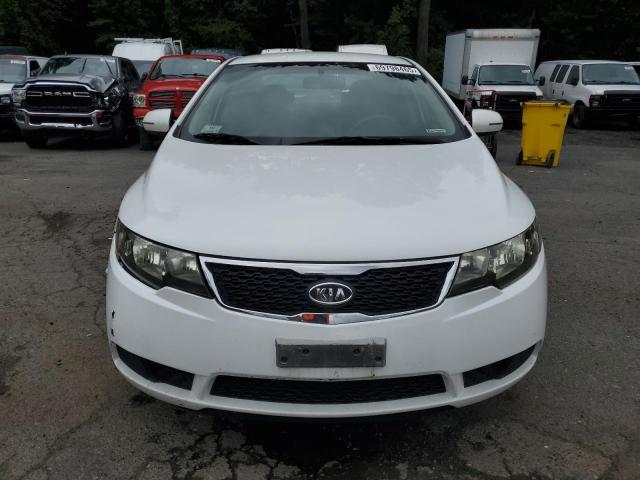 2013 KIA FORTE EX - KNAFU4A23D5656205