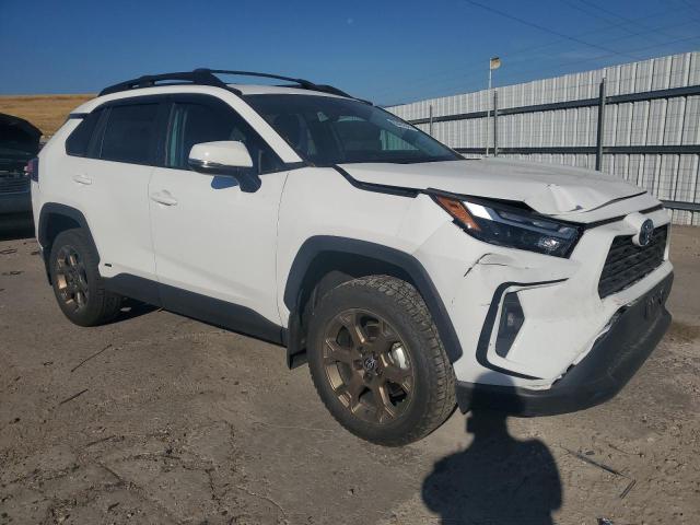 2023 TOYOTA RAV4 WOODLAND EDITION 2T3UWRFV3PW164615