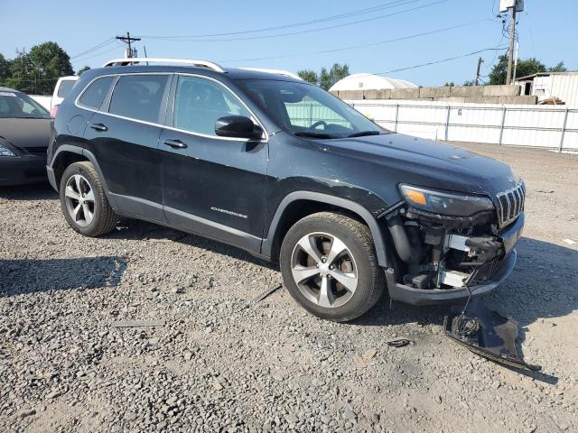 2019 JEEP CHEROKEE L 1C4PJMDX1KD491328